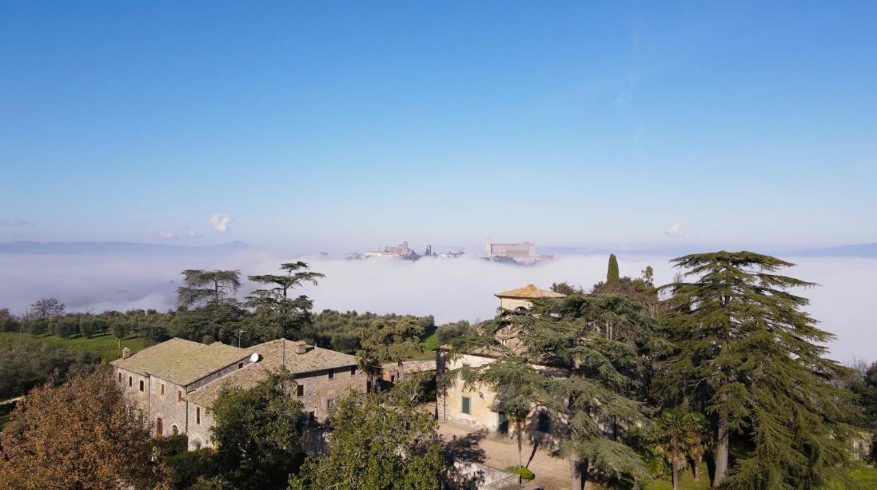 Villa Monteporzano ออร์เวียโต ภายนอก รูปภาพ